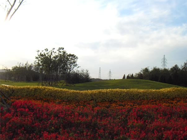 大连现代城市景观设计有限公司